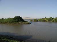 スーダンの砂漠を潤すナイル川