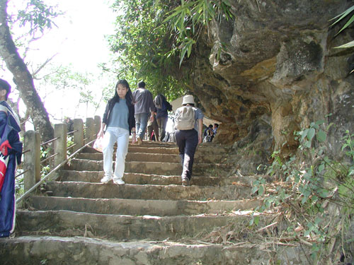 聖地への階段
